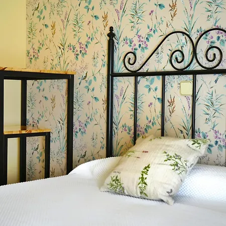 Mainz Πανσιόν Piedralaves