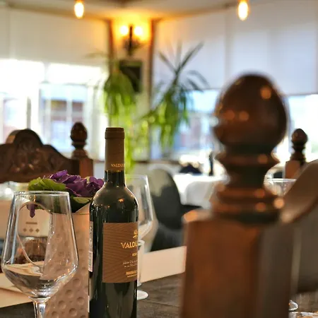 Pensjonat Mainz Piedralaves